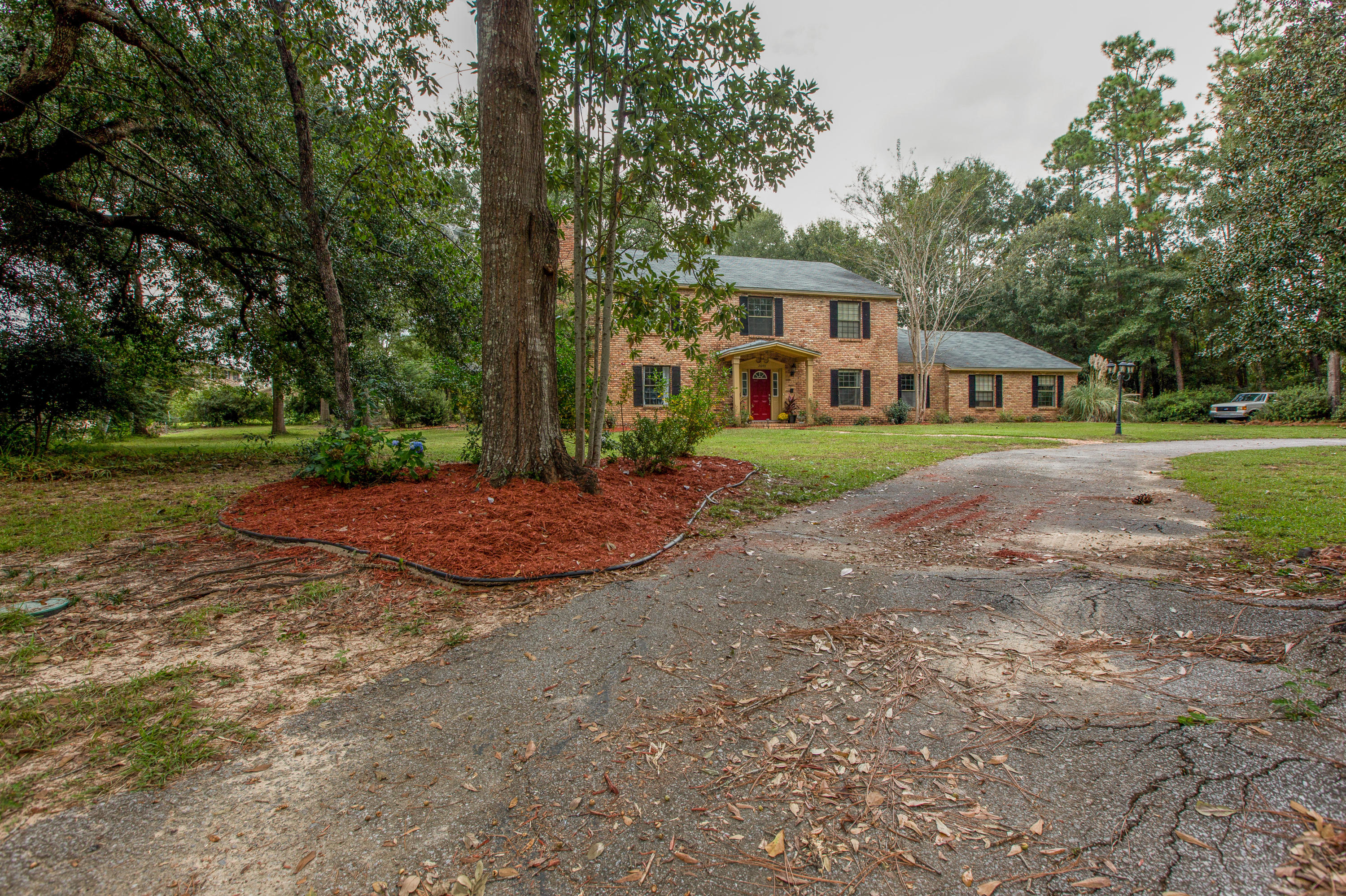 Pine forest manor - Residential