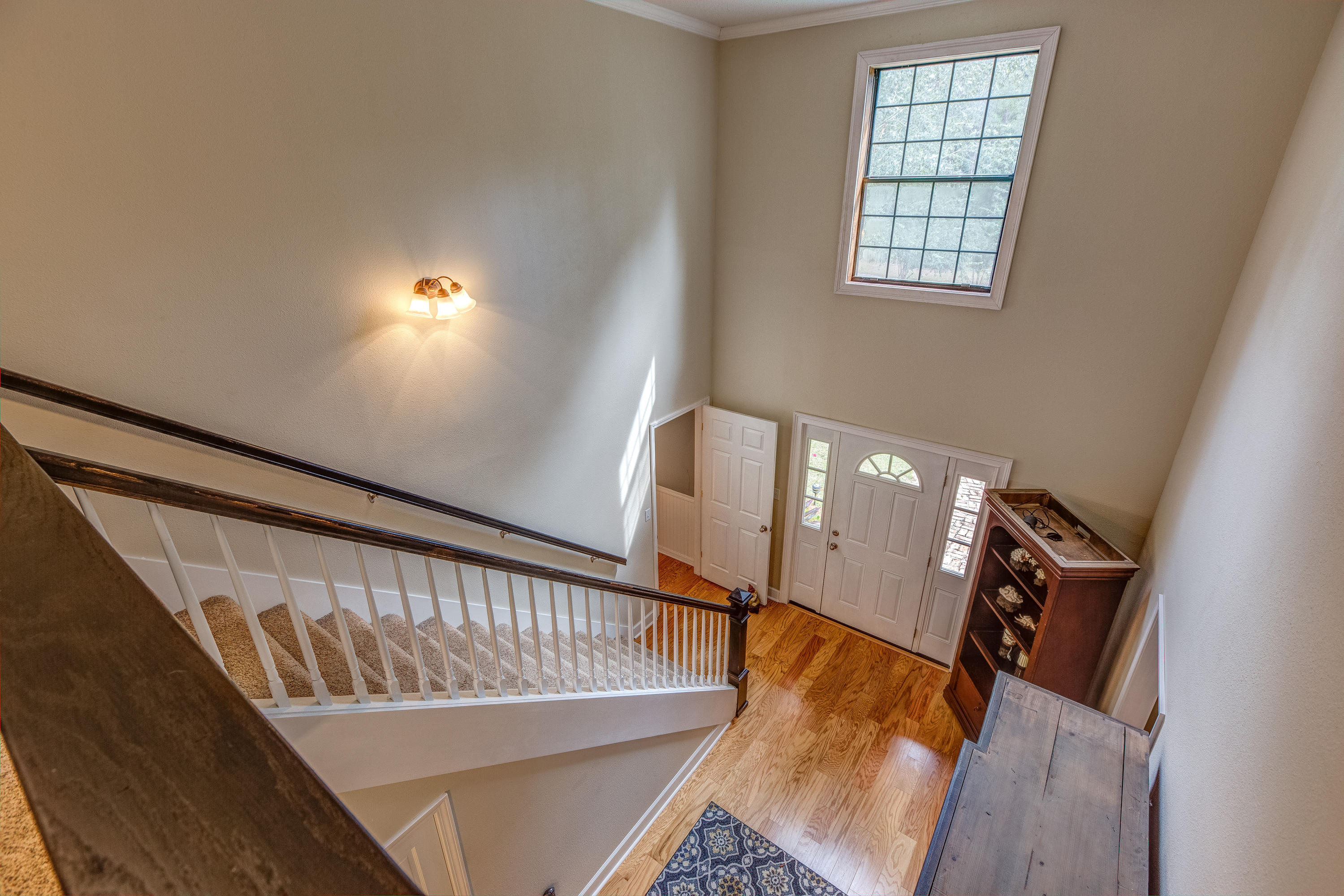 Pine forest manor - Residential