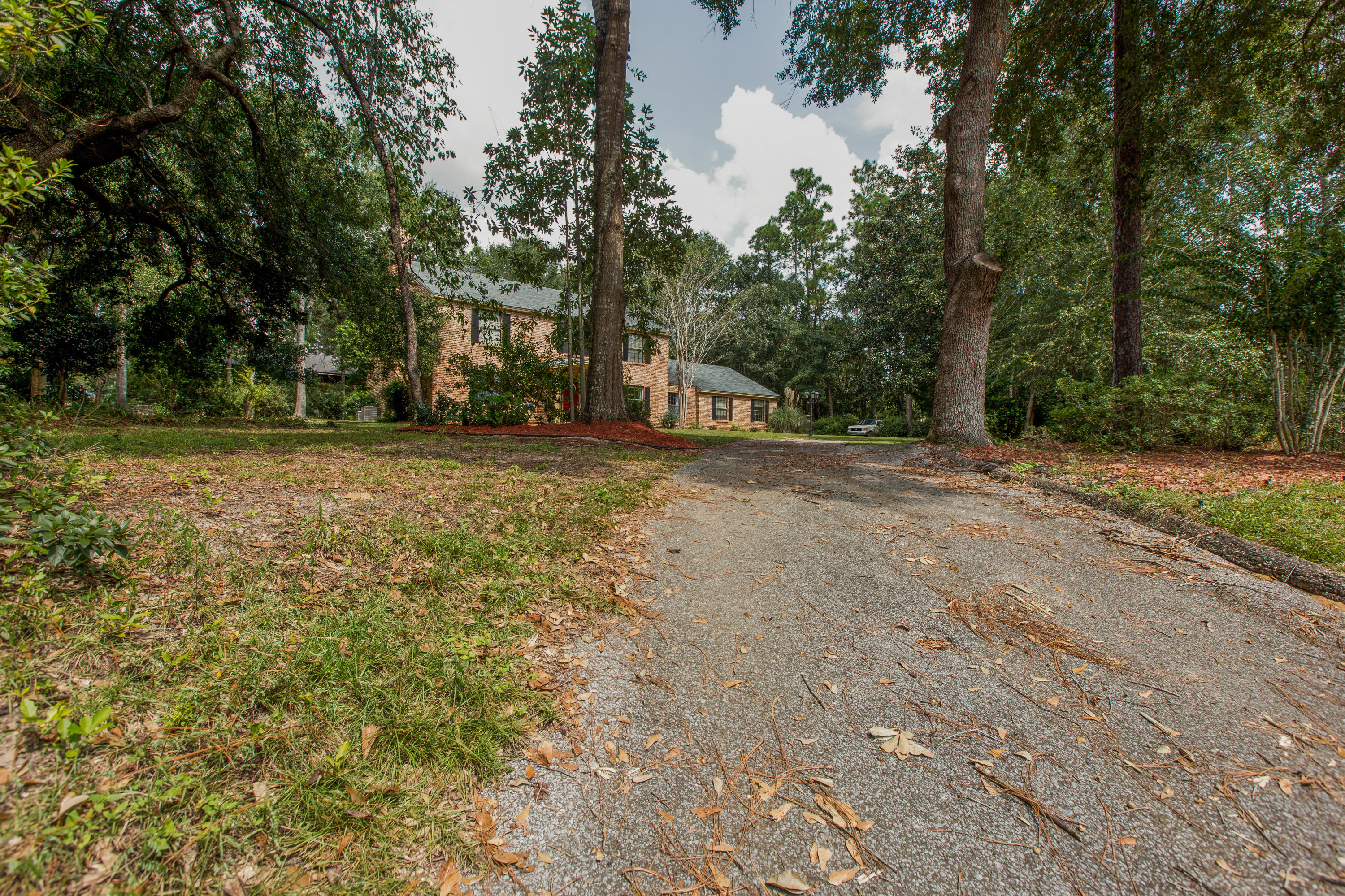 Pine forest manor - Residential