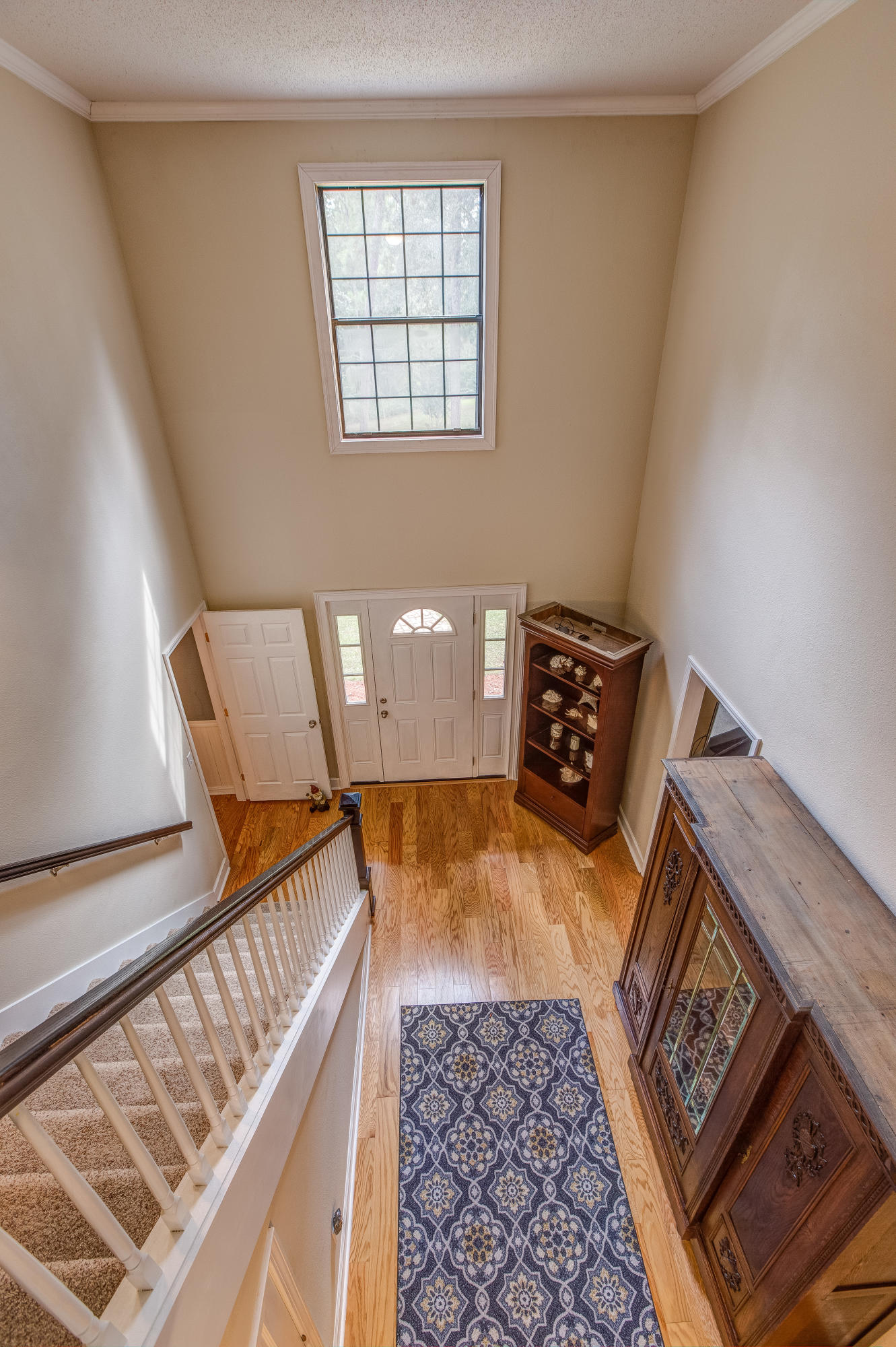 Pine forest manor - Residential