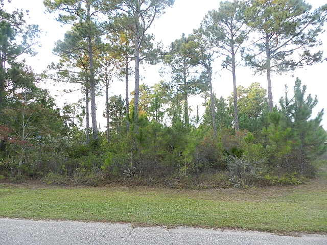 HOLLEY BY THE SEA - Land