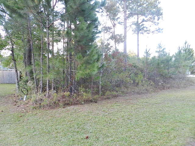 HOLLEY BY THE SEA - Land