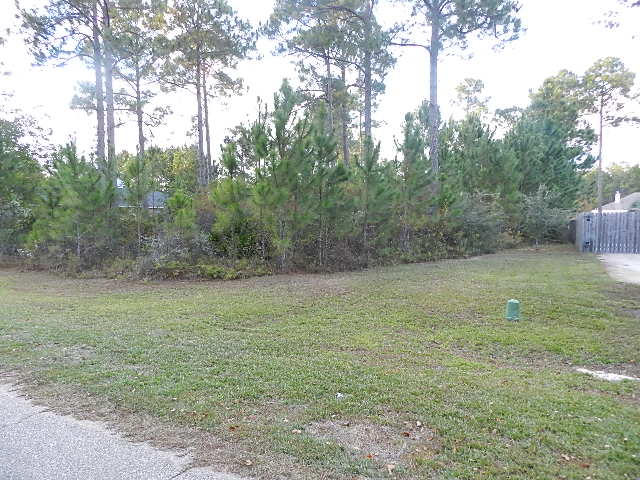 HOLLEY BY THE SEA - Land