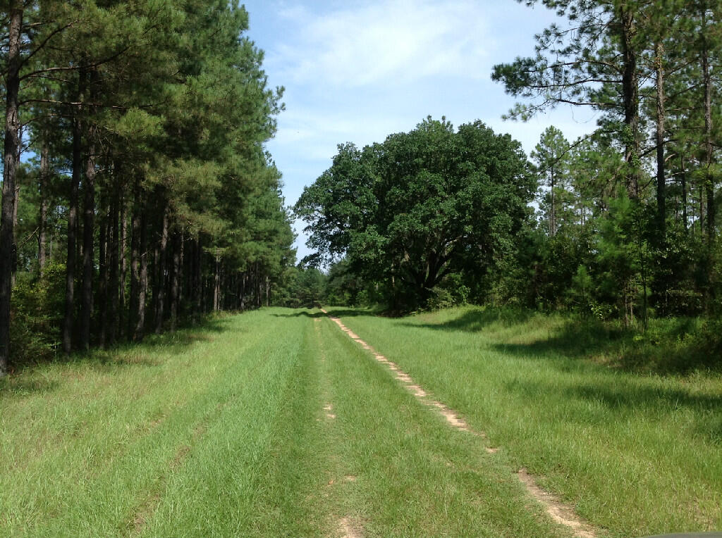 Canopy Crossing Subdivision - Land