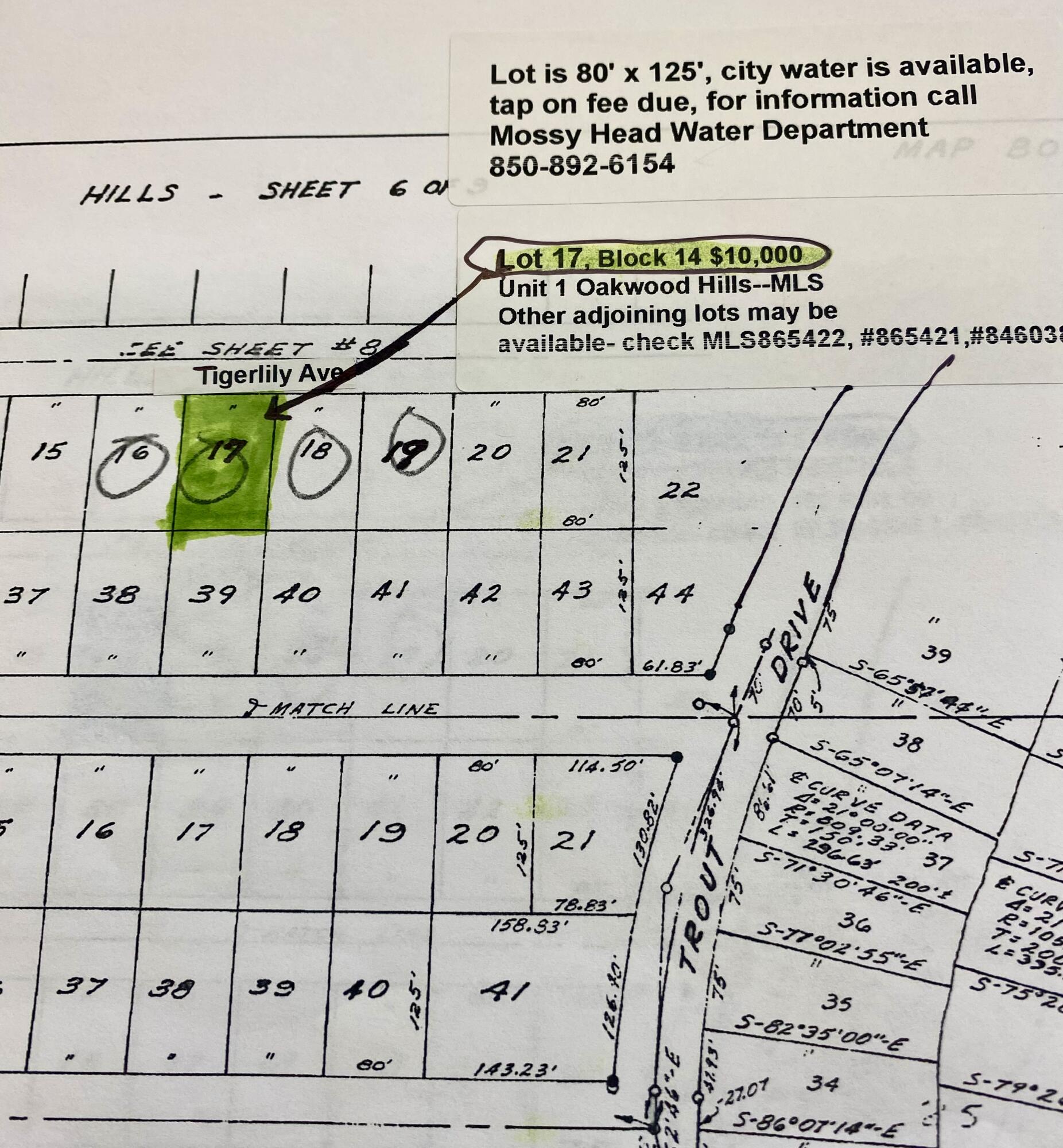 Great location for mobile home or a new home to be built...Near to Eglin AFB, Destin and South Walton Beaches, and I-10 exit, cracked asphalt road just off Trout Road which is paved also. Lot is 80' x 125' and has current survey. Other adjoining lots maybe available check MLS#846038,#865422,#865421.