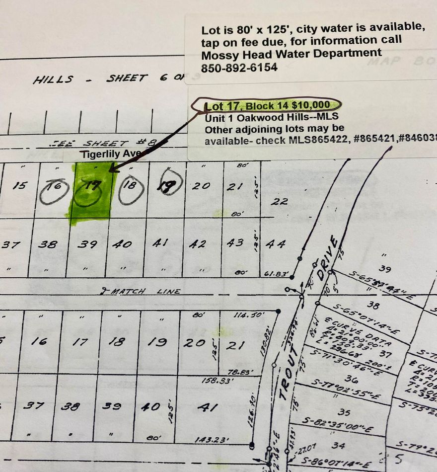 Great location for mobile home or a new home to be built...Near to Eglin AFB, Destin and South Walton Beaches, and I-10 exit, cracked asphalt road just off Trout Road which is paved also. Lot is 80' x 125' and has current survey.  Other adjoining lots maybe available check MLS#846038,#865422,#865421.
