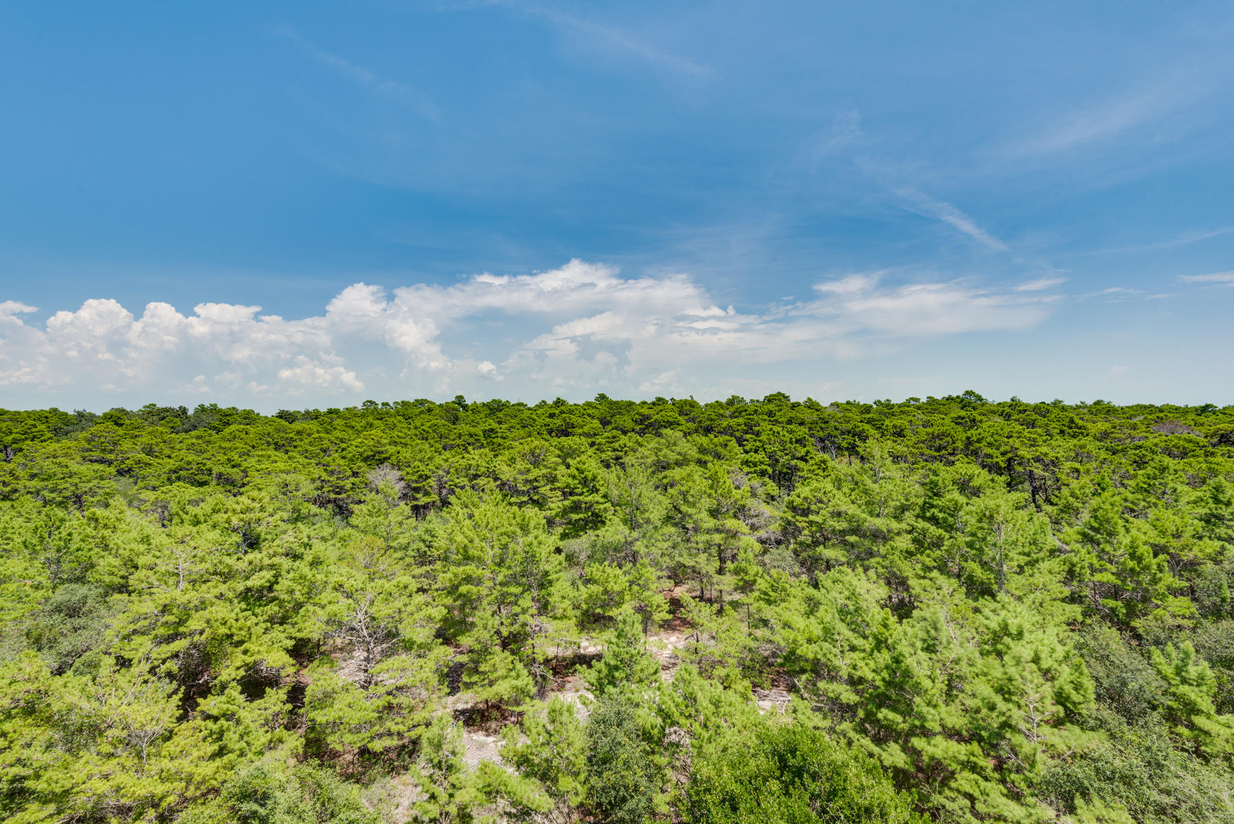 SUMMIT AT TOPS'L - Residential