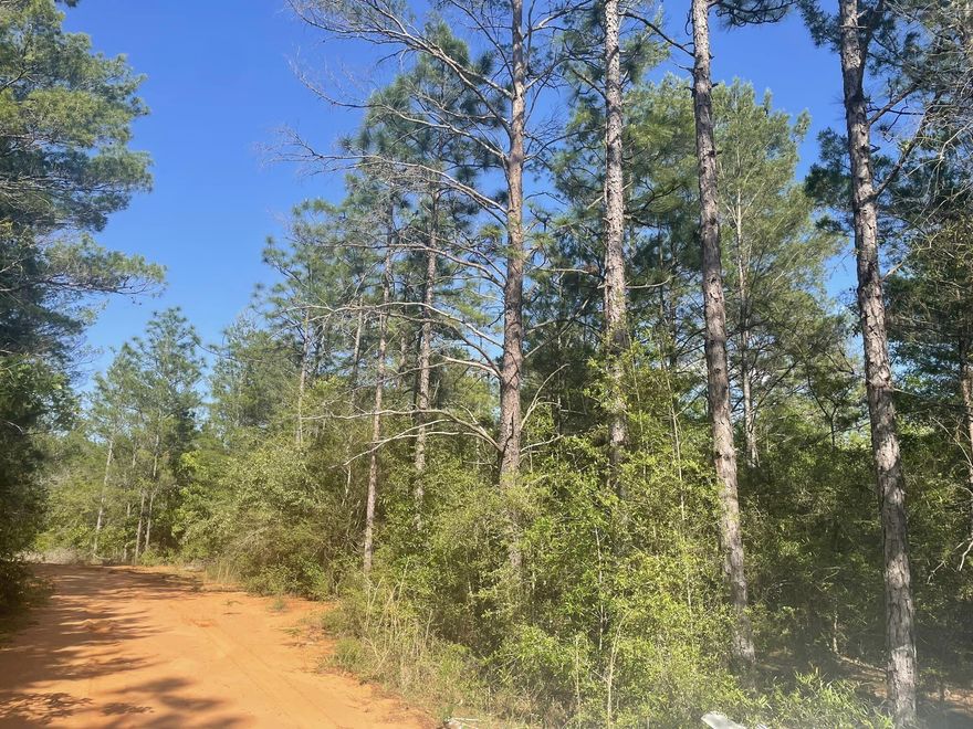 Beautiful lot that is centrally located with an easy commute to Eglin, Niceville, Ft.Walton Beach and Destin. Perfect place to build your next home or place your manufactured home on! Private country living!