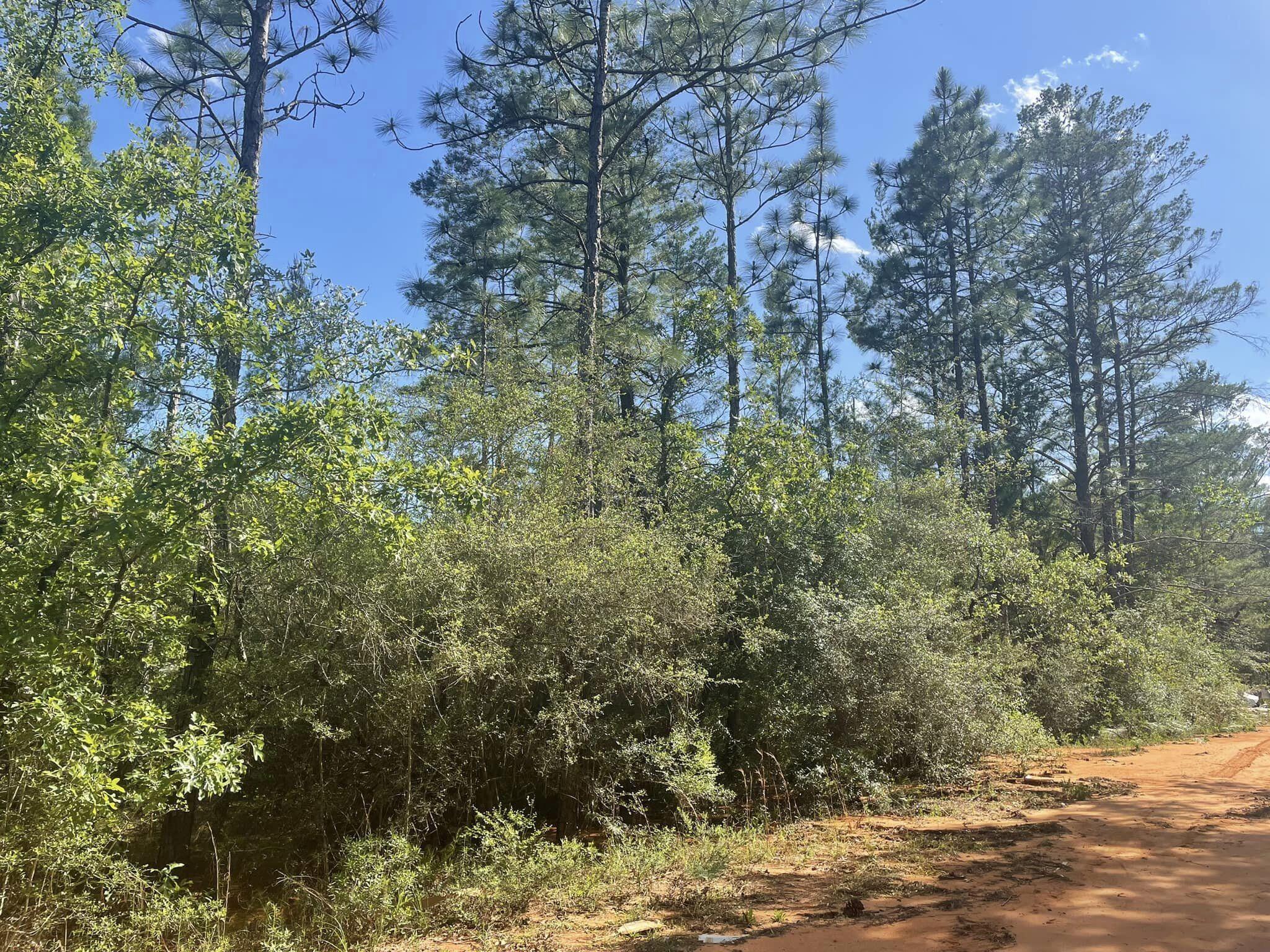 OAKWOOD HILLS UNIT 2 - Land