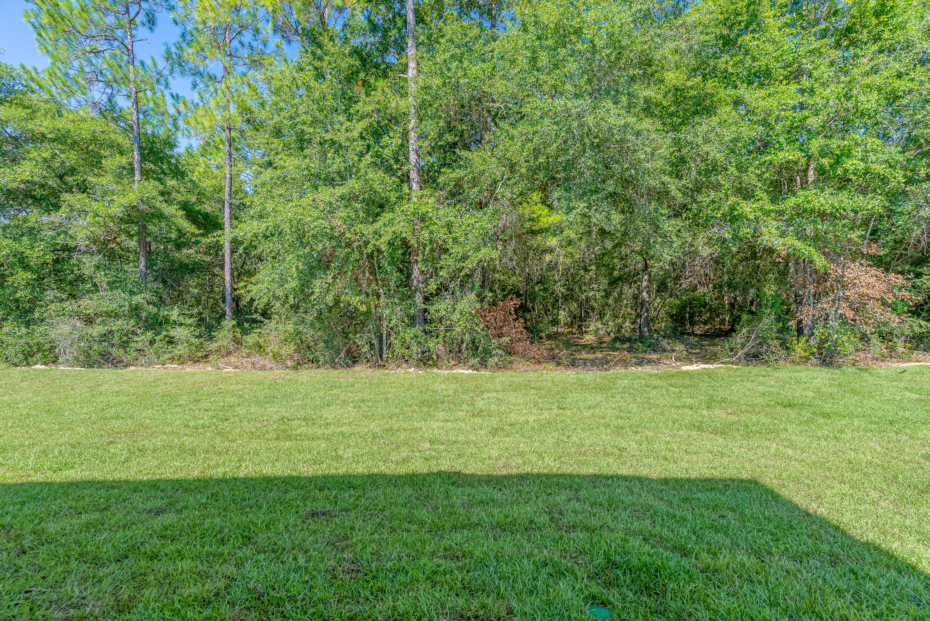 HOMEWOOD EST - Residential