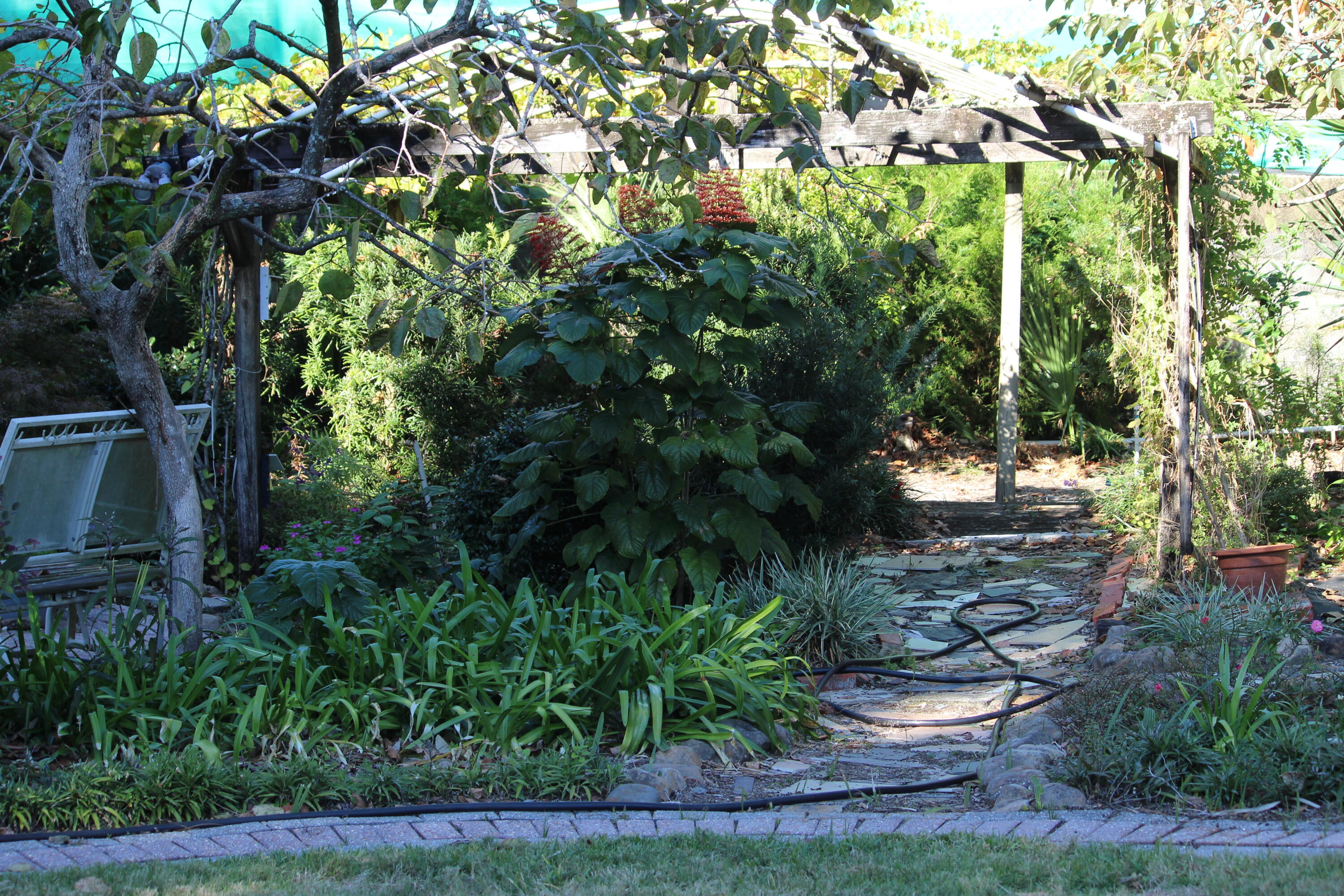 PINE LAKE S/D - Residential