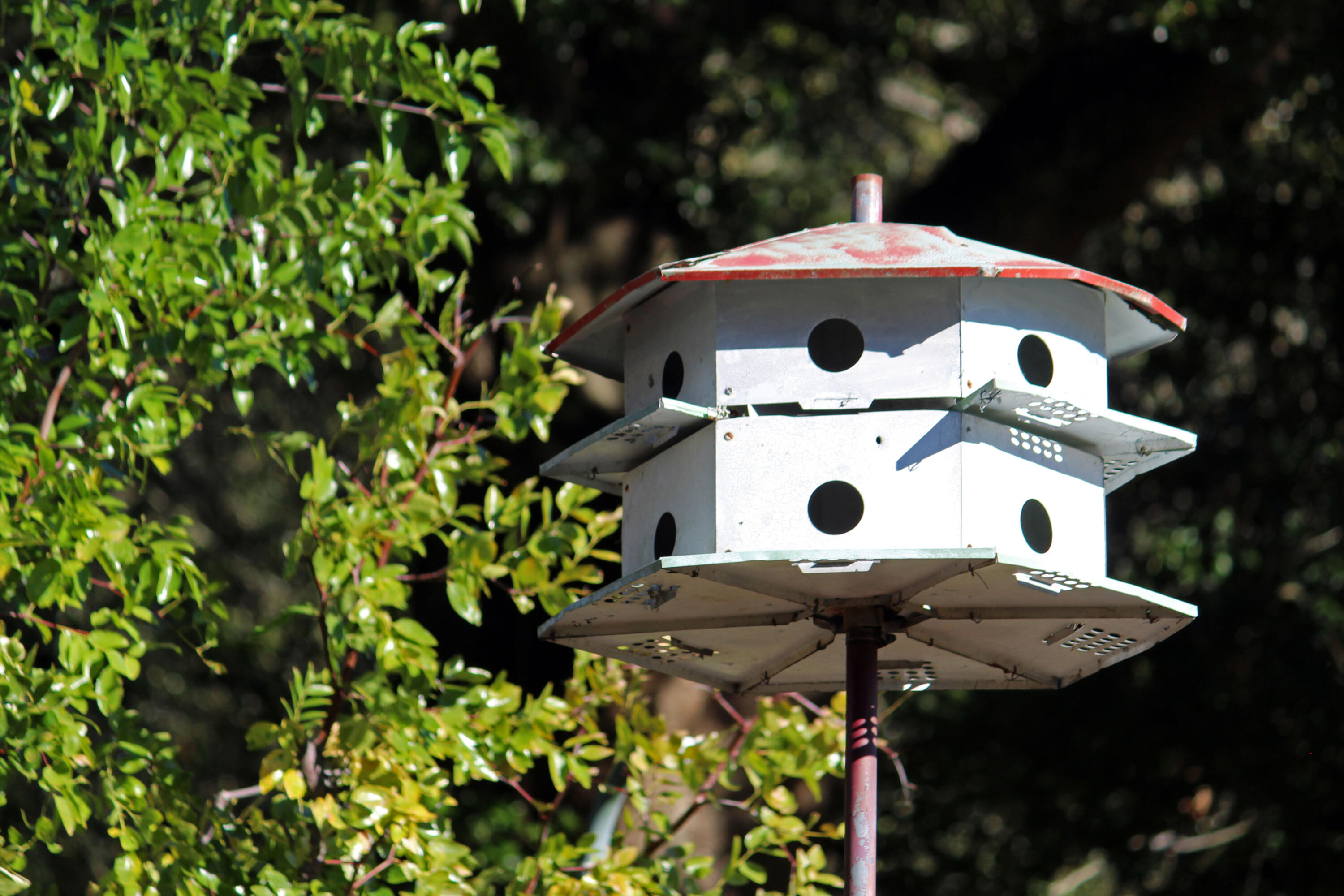 PINE LAKE S/D - Residential