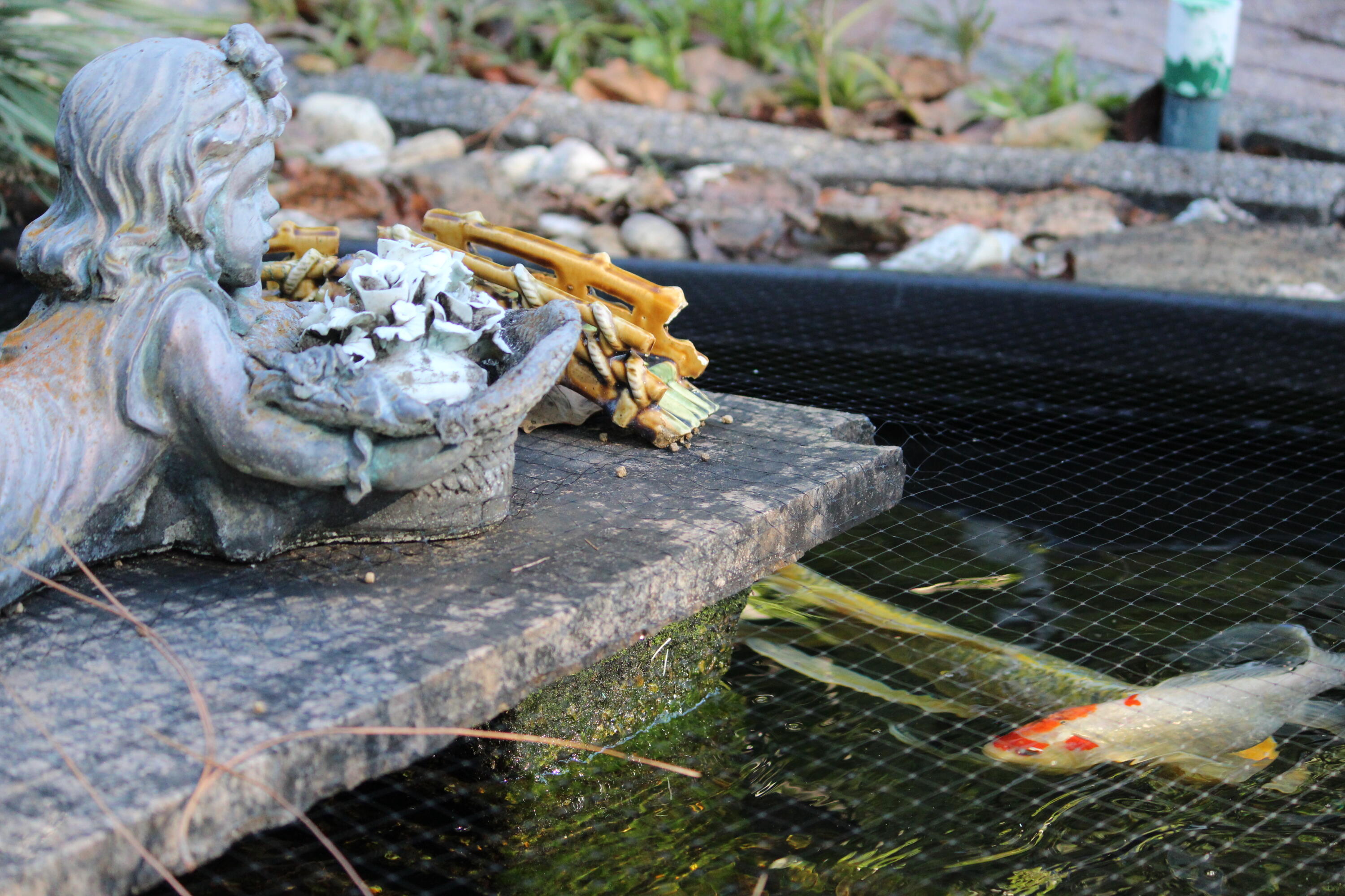 PINE LAKE S/D - Residential