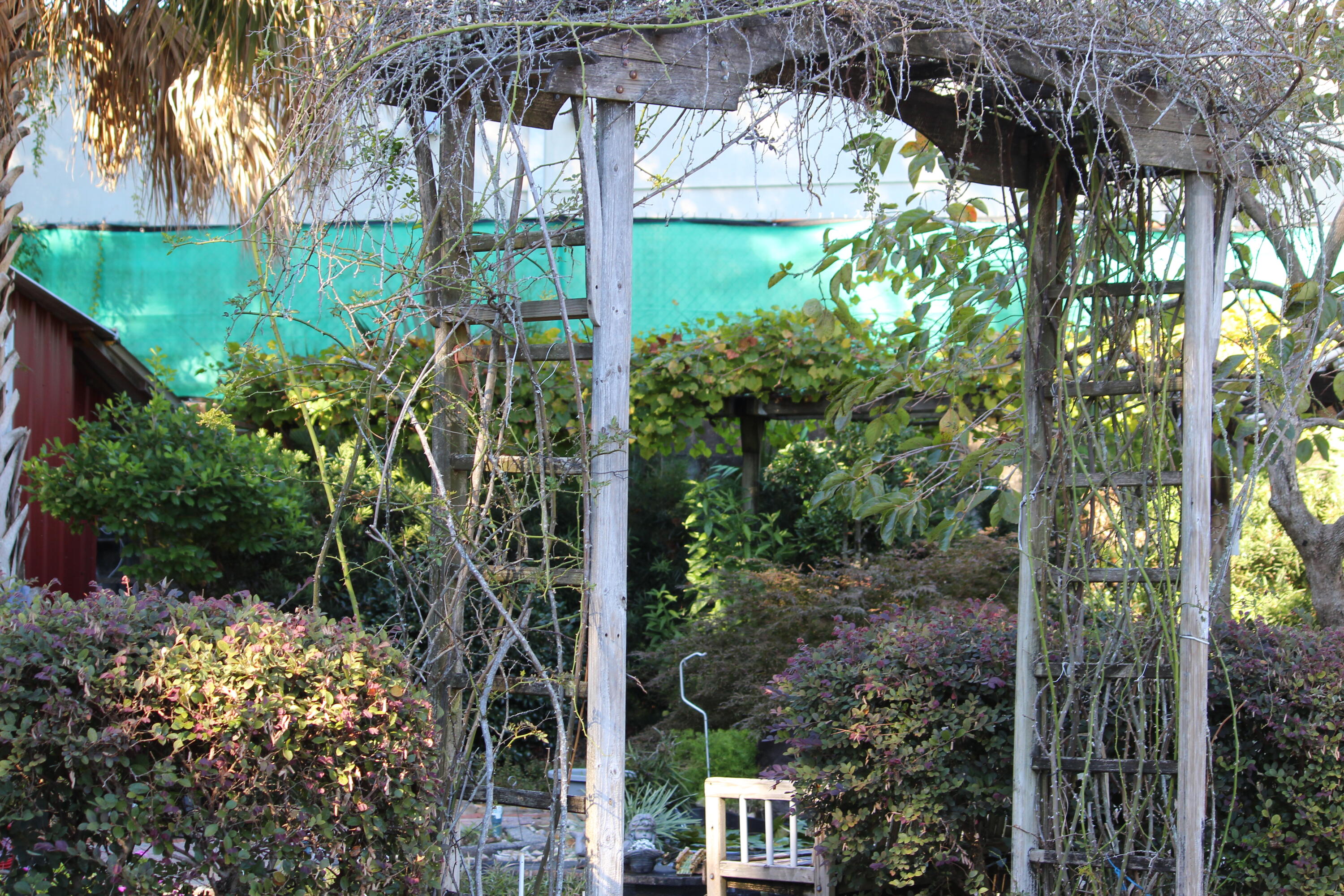 PINE LAKE S/D - Residential