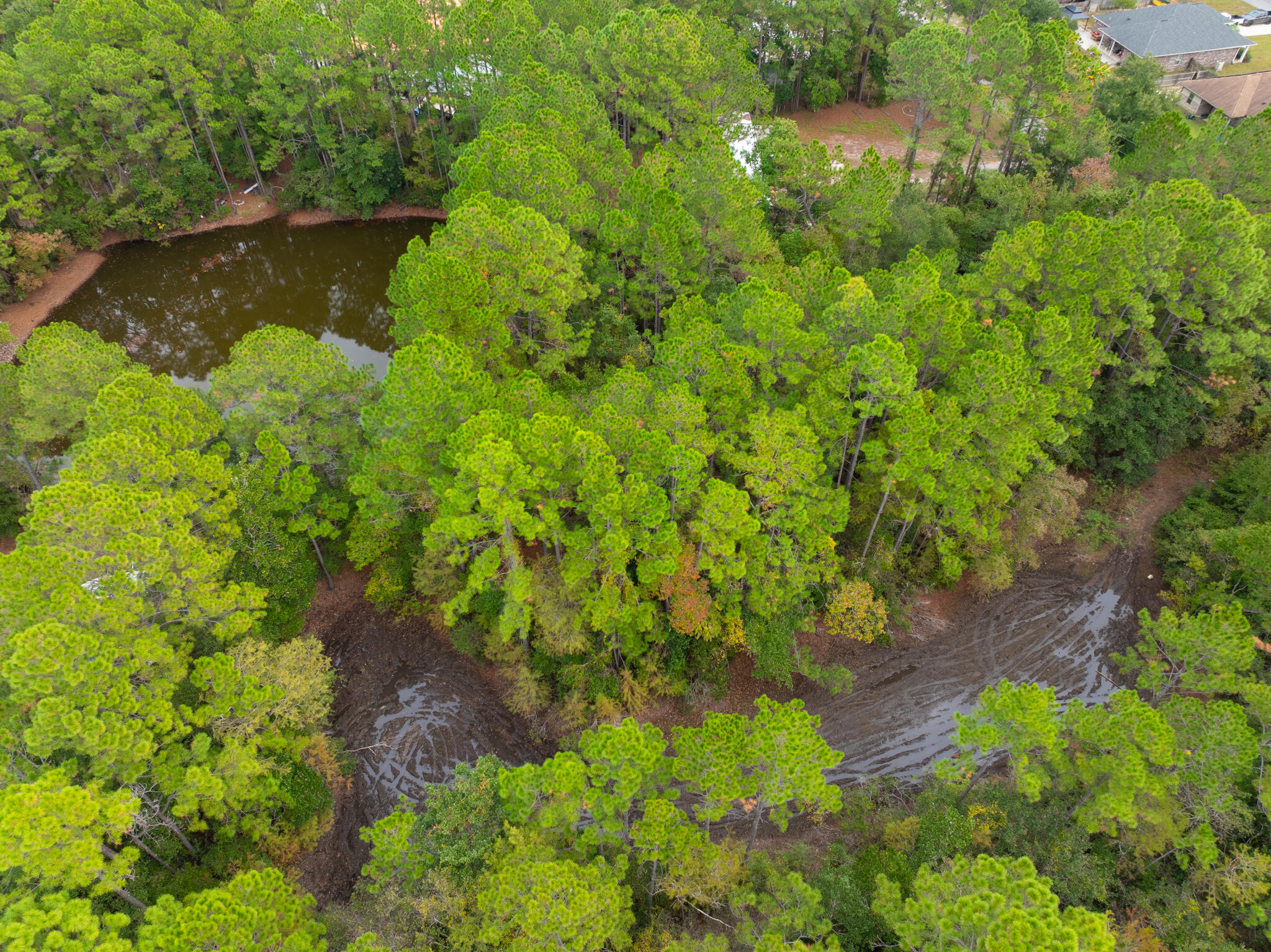 HOLLEY/NAVARRE - Land