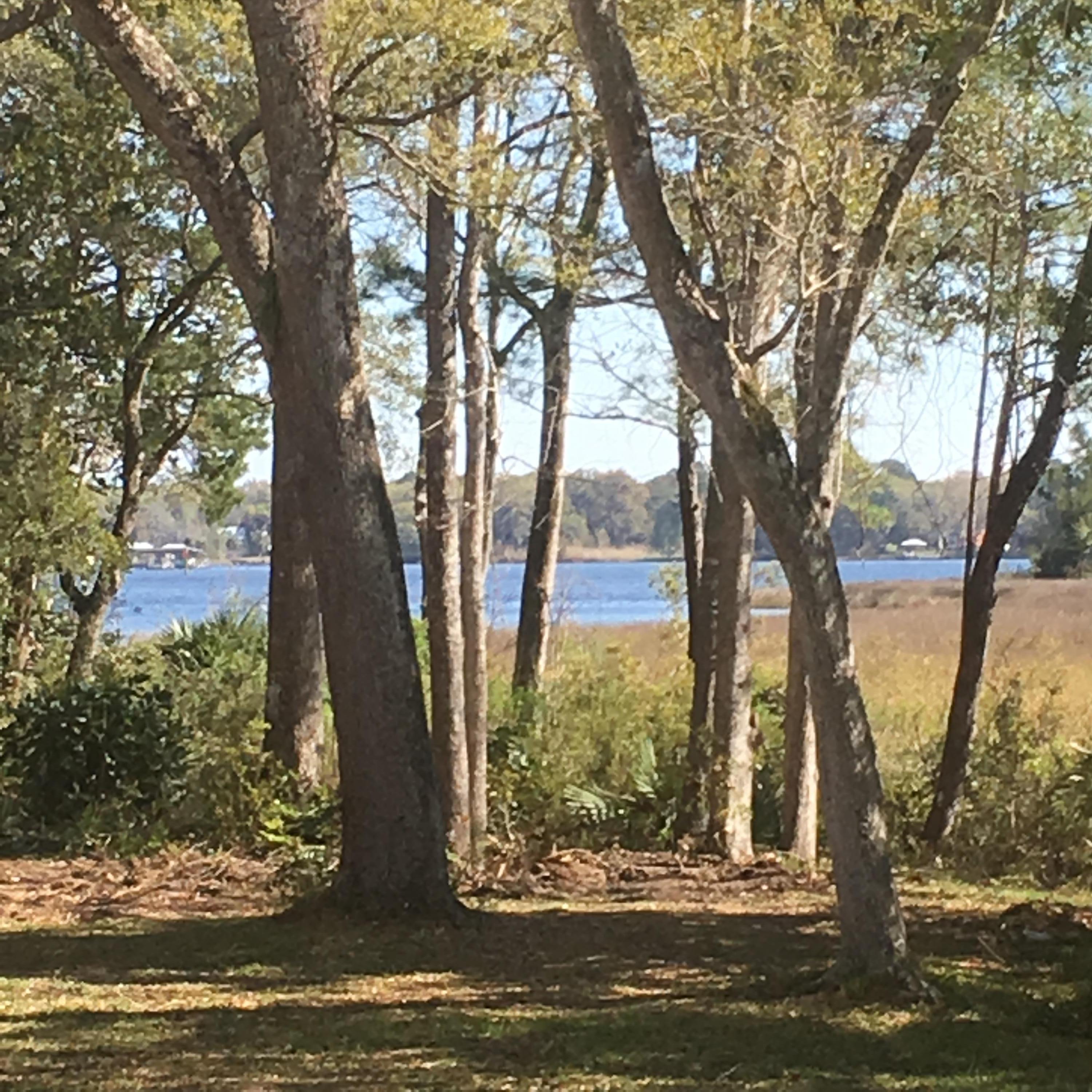 Bay Loop Rd - Residential