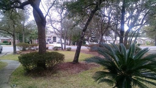 CARIBBEAN VILLAGE 1C - Residential