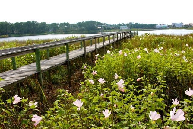 OYSTER LAKE - Residential