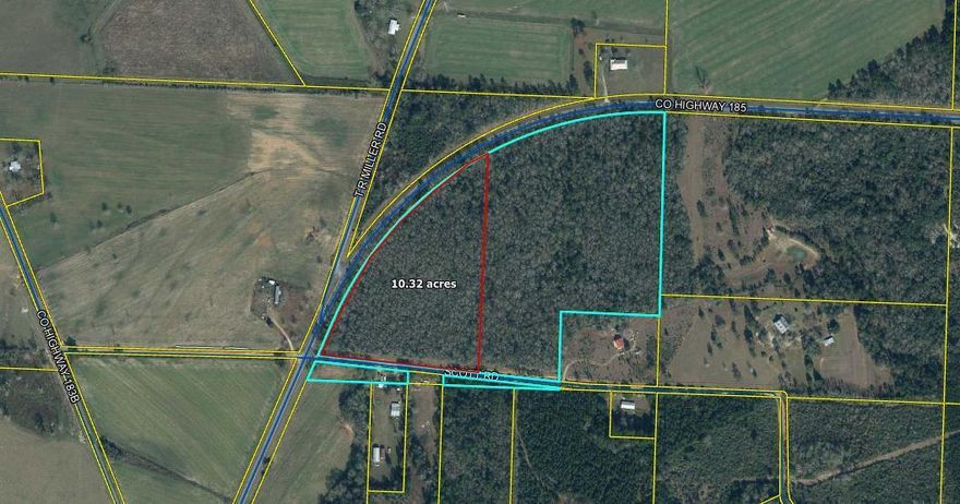 Great 10 acre building site with no agricultural restrictions.  Build your dream home or set up your gentleman's farm just a short drive from the growing city of Defuniak Springs.  Plenty of paved road frontage on Co Hwy 185.  Property is wooded currently so clear what you would like and make it as private as you want.  Don't miss out on this great parcel!