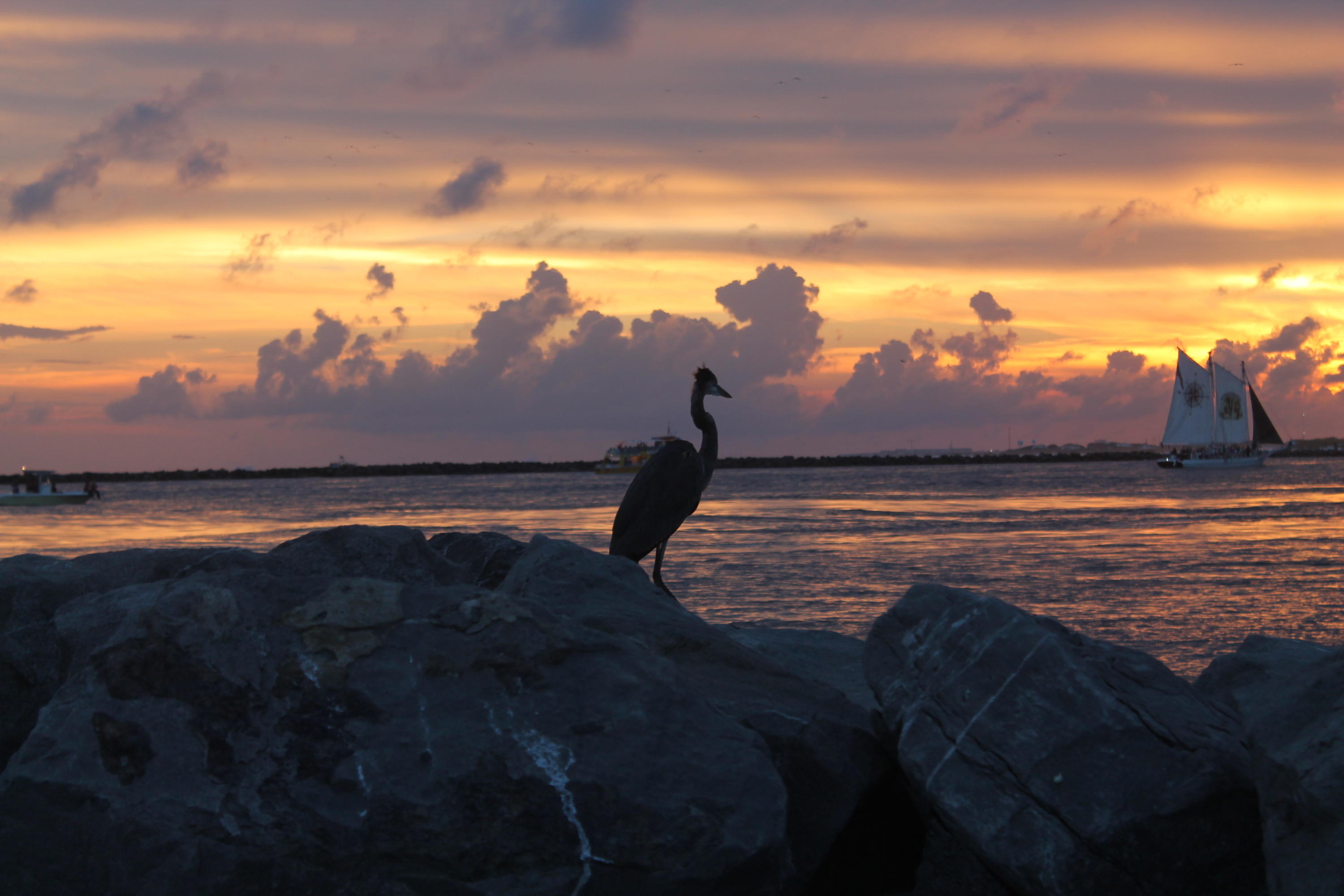 Jetty East Condominium - Residential