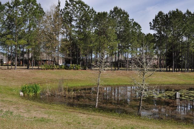 HAMMOCK BAY - Residential