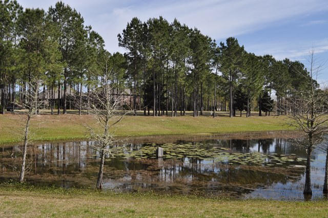 HAMMOCK BAY - Residential