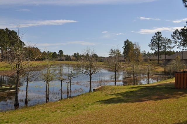 HAMMOCK BAY - Residential