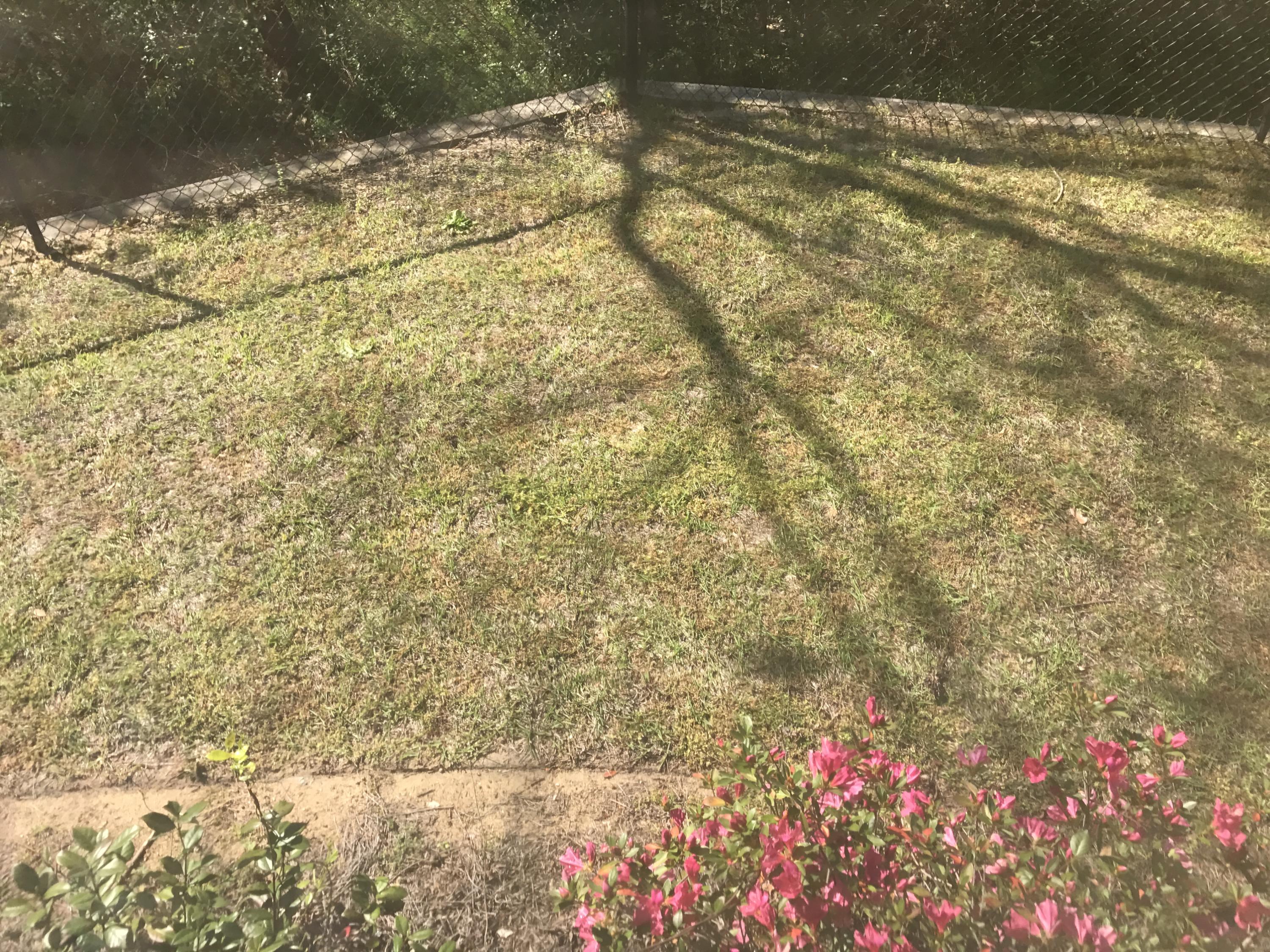 Traditions at Walton Oaks - Residential