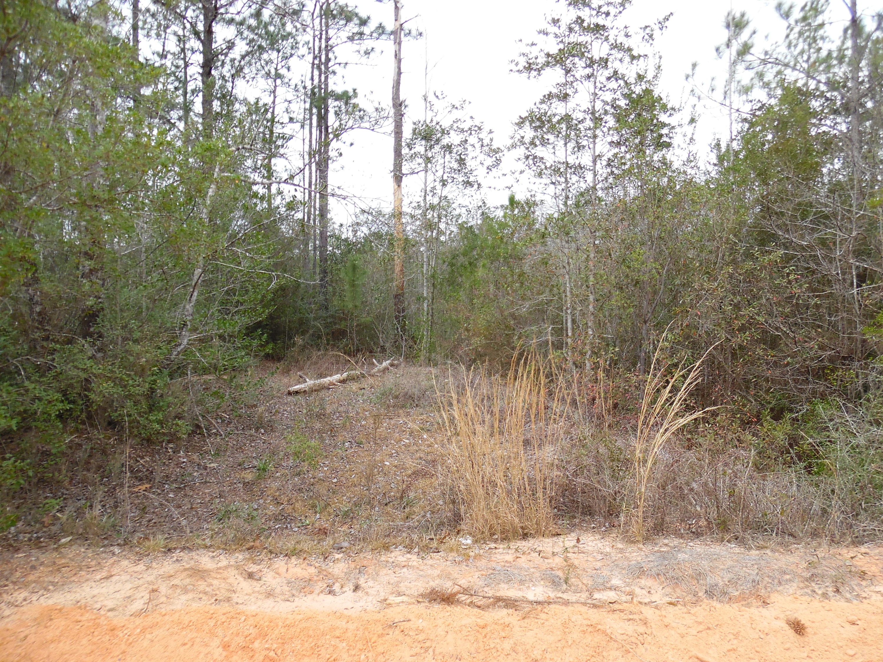 OAKWOOD HILLS - Land