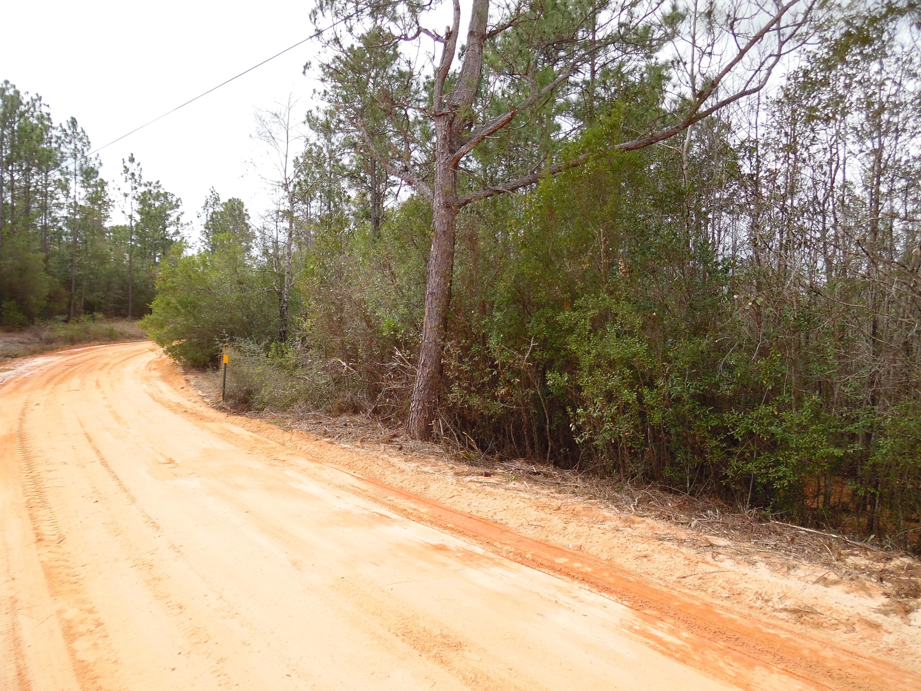 OAKWOOD HILLS - Land