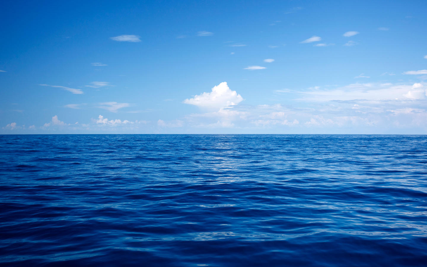 REGATTA BAY PH 1 - Land