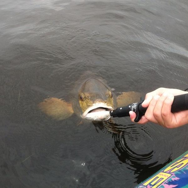 REGATTA BAY PH 1 - Land