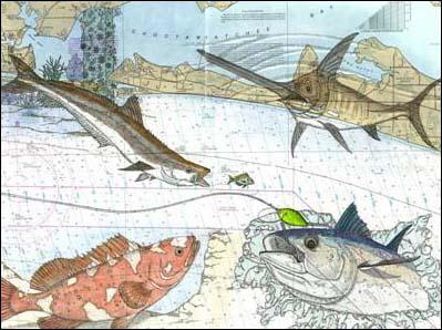 REGATTA BAY PH 1 - Land