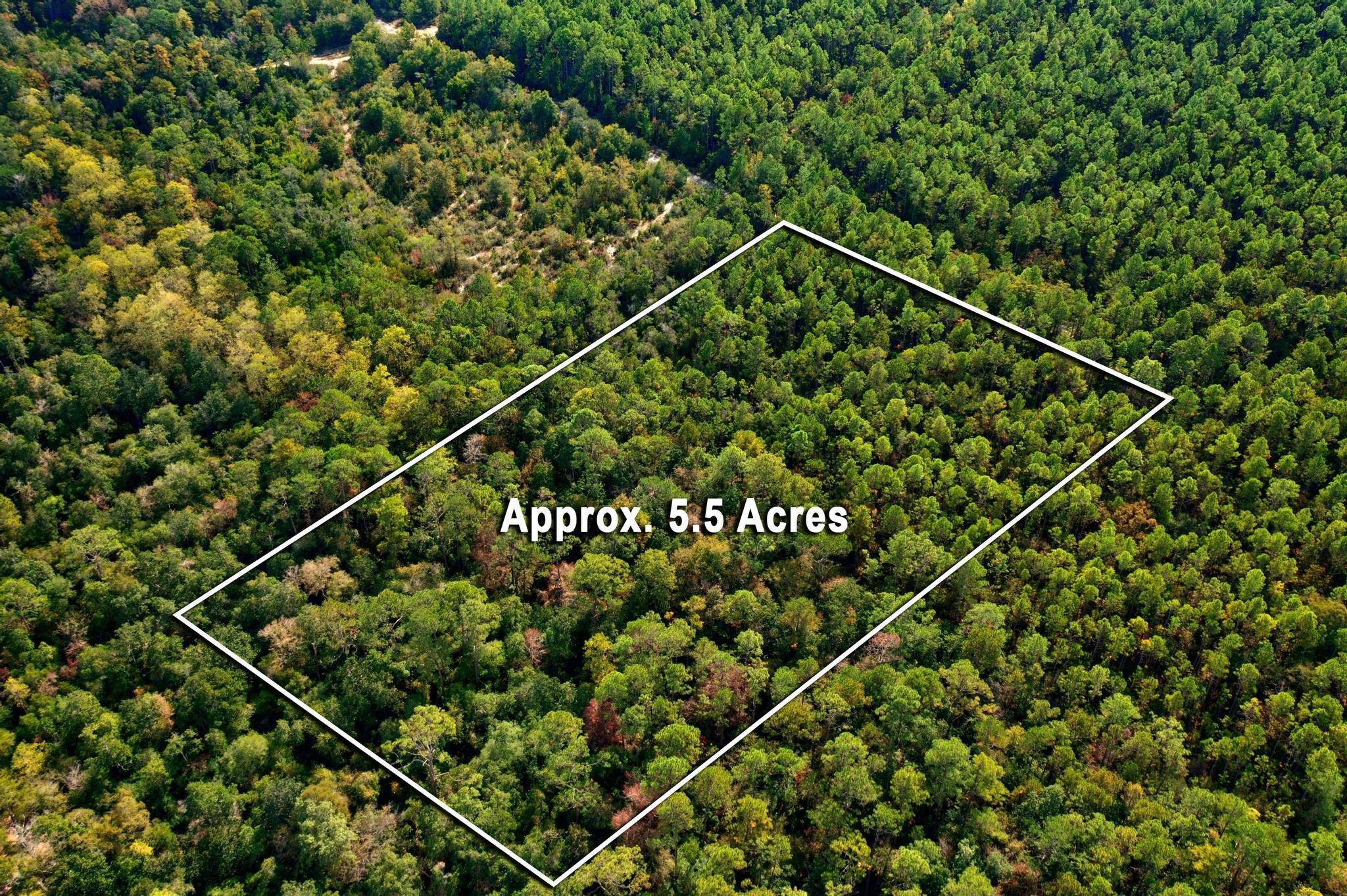 Bring your home plans and build your DREAM HOME! Over 5 acres in a central location- just far enough to enjoy the peace and privacy and close enough to run to the store and schools! 100% financing options available. Call today!