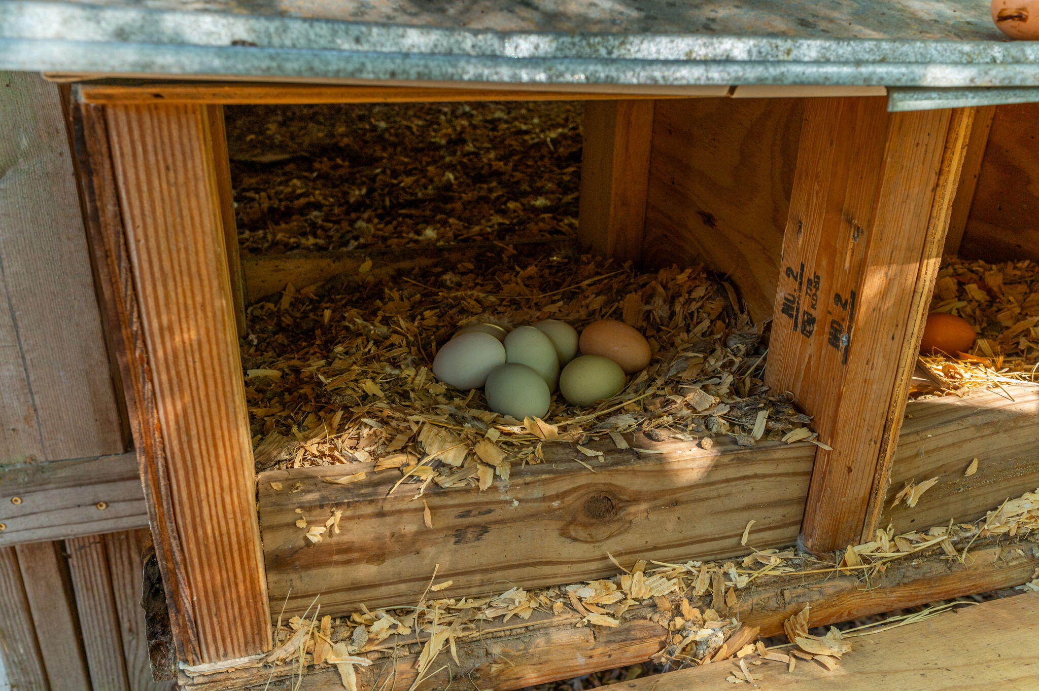 HIDDEN SPRINGS - Residential