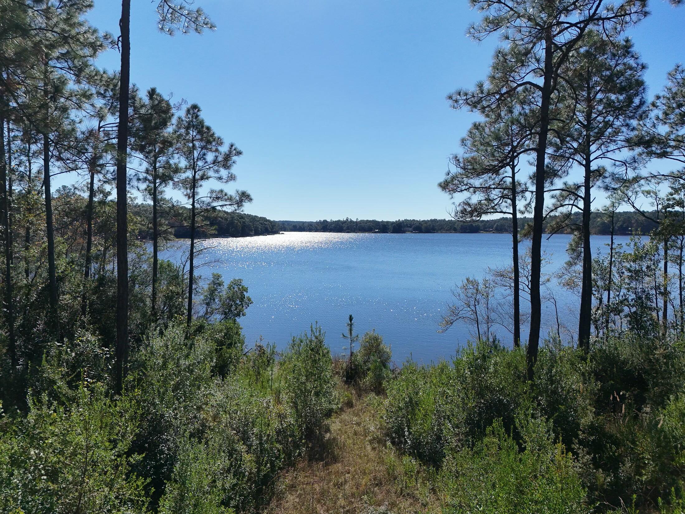 Dreaming of a peaceful lakeside retreat? This 1.5-acre lakefront property on picturesque Spring Lake is your perfect escape. With 217 ft of unspoiled waterfront on this 150-acre lake, the site is partially cleared, allowing for stunning water/sunset views, while the wooded perimeter ensures privacy and a natural backdrop. The property features a charming small cabin, ideal for weekend getaways or as a comfortable base while building your dream home. Located in a small neighborhood with basic restrictions designed to protect your investment, you'll enjoy the peace of knowing this is a community of owners; no short-term rentals here, just friendly neighbors who share your love for the lake. Conveniently located only 5-10 min to downtown DeFuniak Springs and 30-45 min to the sandy beaches. In addition to the dock onsite, there is a community dock, boat launch and pavilion for large gatherings on the 2+ acre community property. Don't let this rare offering slip by!