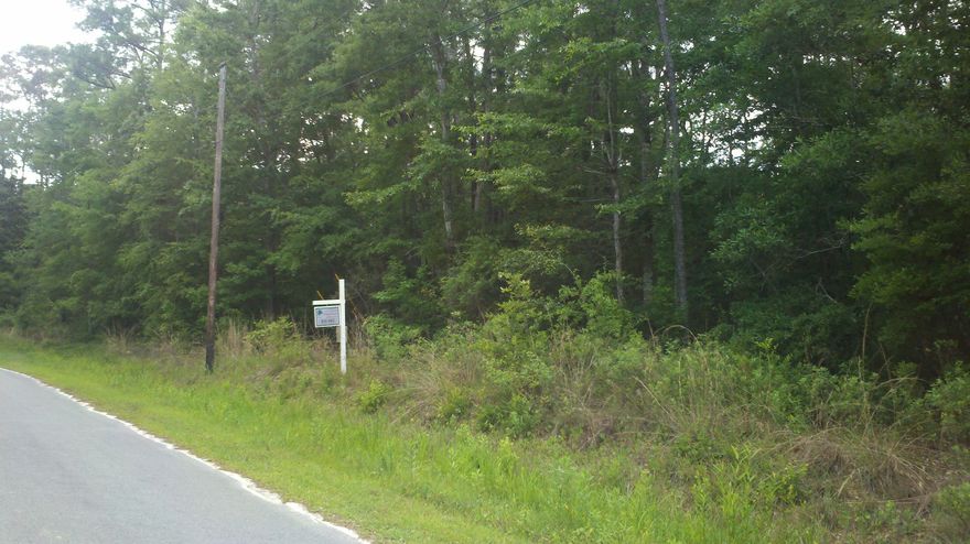 Wooded Half-Acre Lot South of Highway 20 and just off Highway 331 South. Paved road (Jones Drive)with City water.Owner Financing Possible with terms acceptable to Seller. Additional Lots can be available. Convenient location for easy access to Beaches of South Walton and Highway 98!