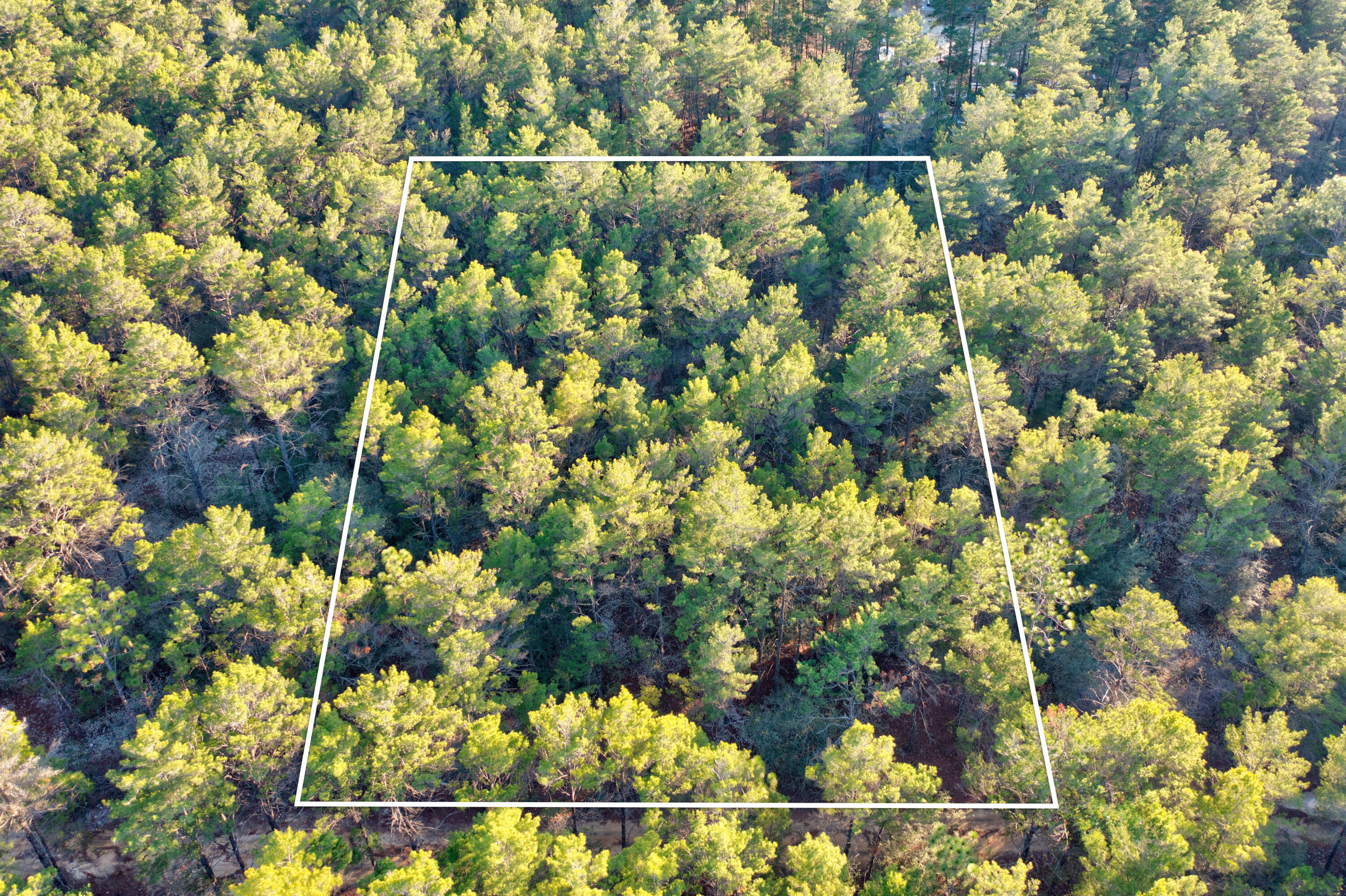 OAKWOOD HILLS UNIT 4 - Land