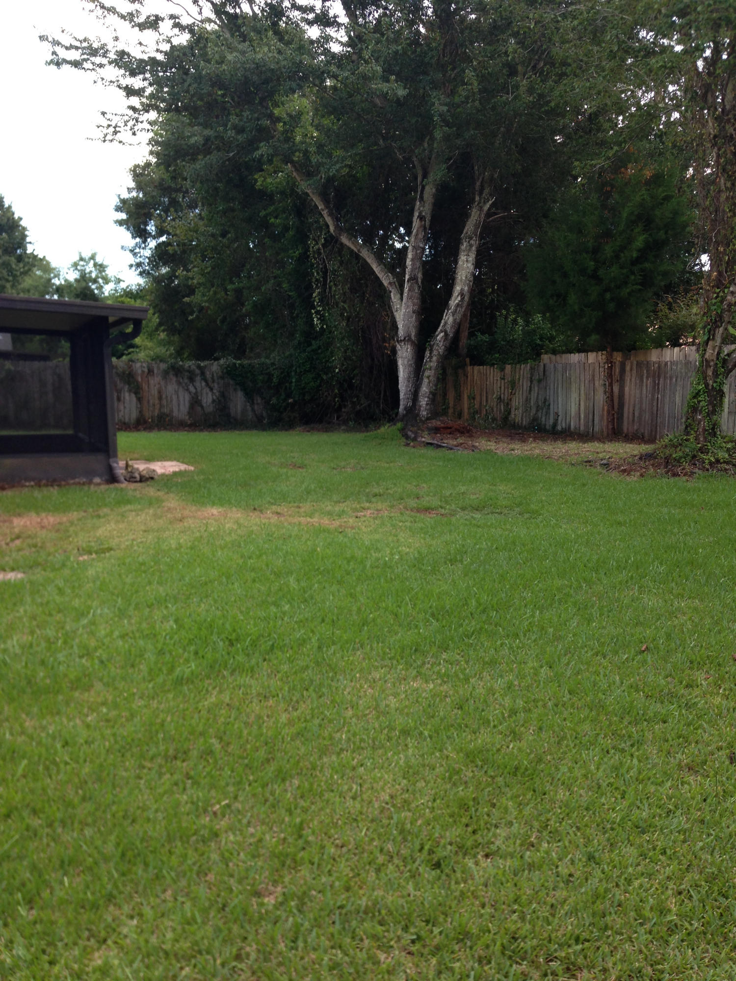 PINEDALE 2ND ADDN - Residential