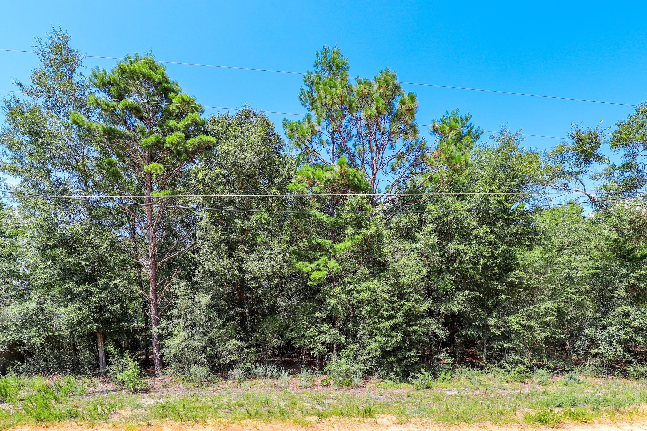 OAKWOOD HILLS UNIT III - Land