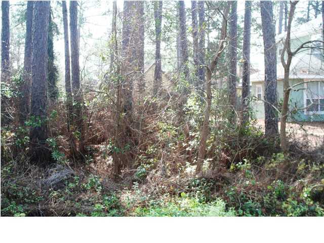 HOLIDAY SHORES ESTATES - Land