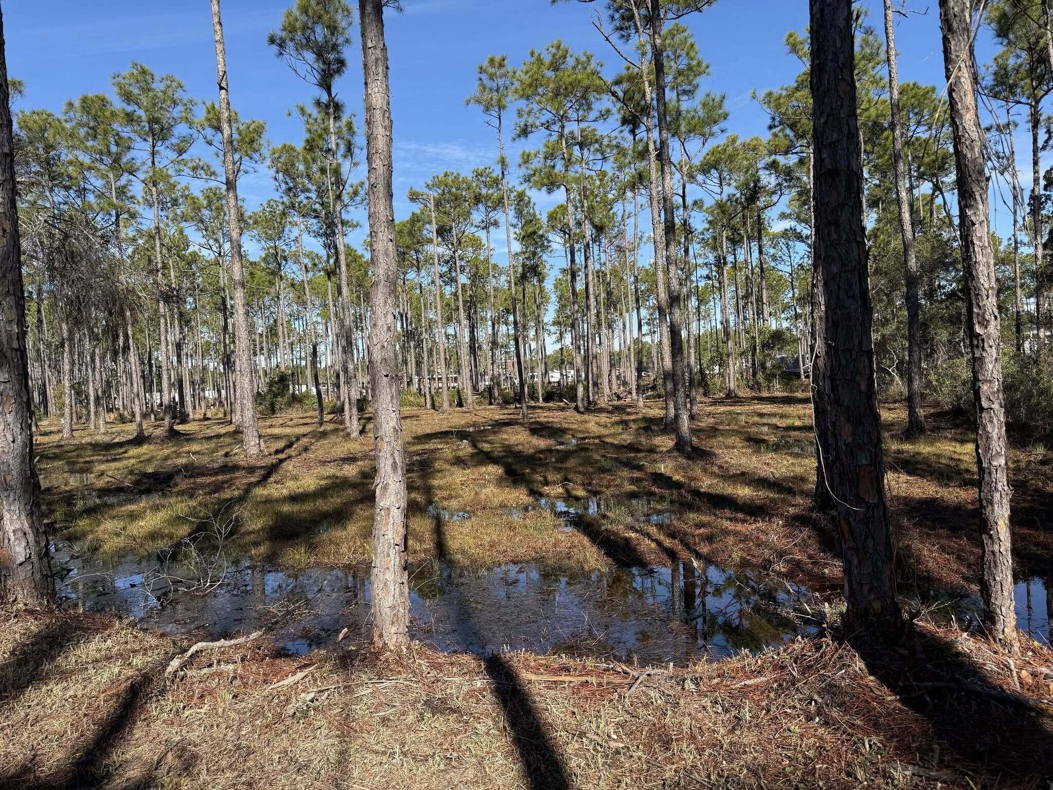 NICE LARGE SIZED LOT for building that dream home on. Homes built on this lot will require a plan to build up 8' from the ground, in a flood zone so flood insurance will be required here. Very close to the Marina. Property is cleared. Survey has been ordered and will convey to the buyer.