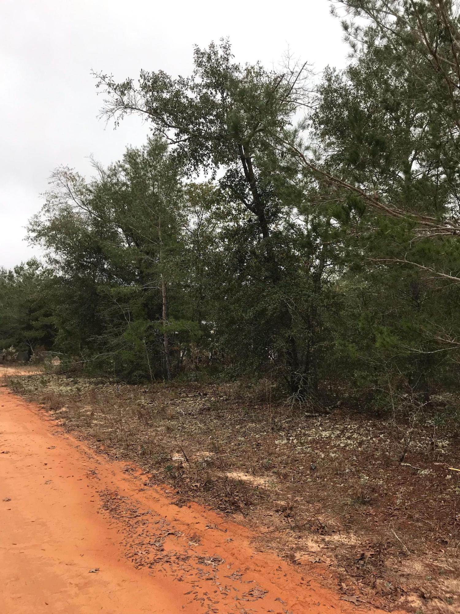 OAKWOOD HILLS UNIT 1 - Land