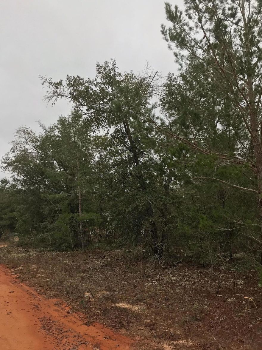 Priced to SELL!!!! Check out this level quarter acre lot that is ready for you to build or place your manufactured home on. This location is conveniently to I-10 & 285, which makes it convenient to DeFuniak Springs, Crestview & Niceville. Seller has multiple lots available, call today to find out how to bundle and buy more for LESS!