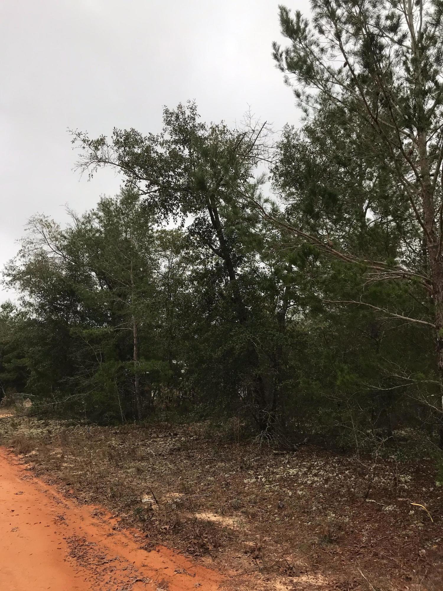 OAKWOOD HILLS UNIT 1 - Land