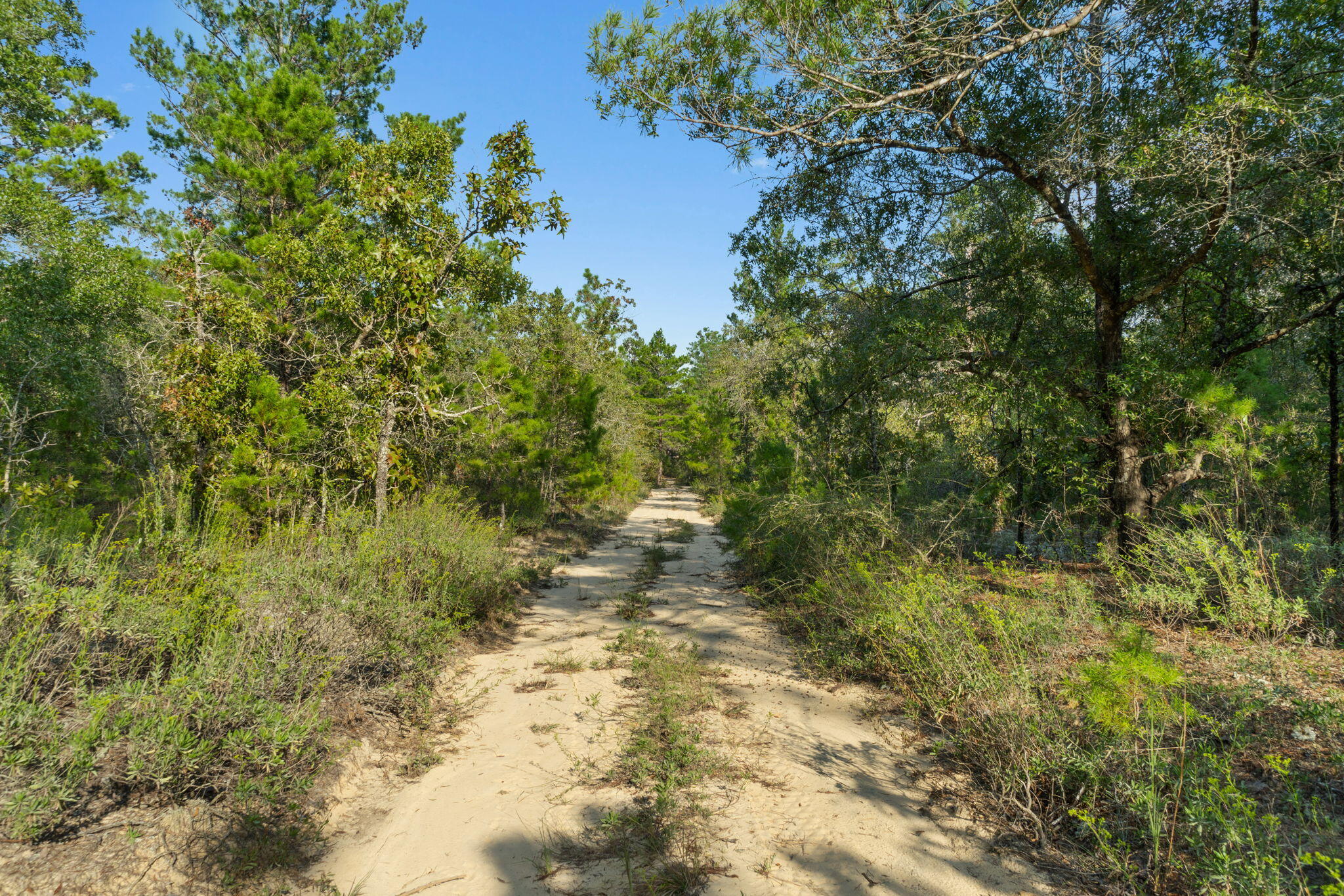 OAKWOOD HILLS UNIT 2 - Land