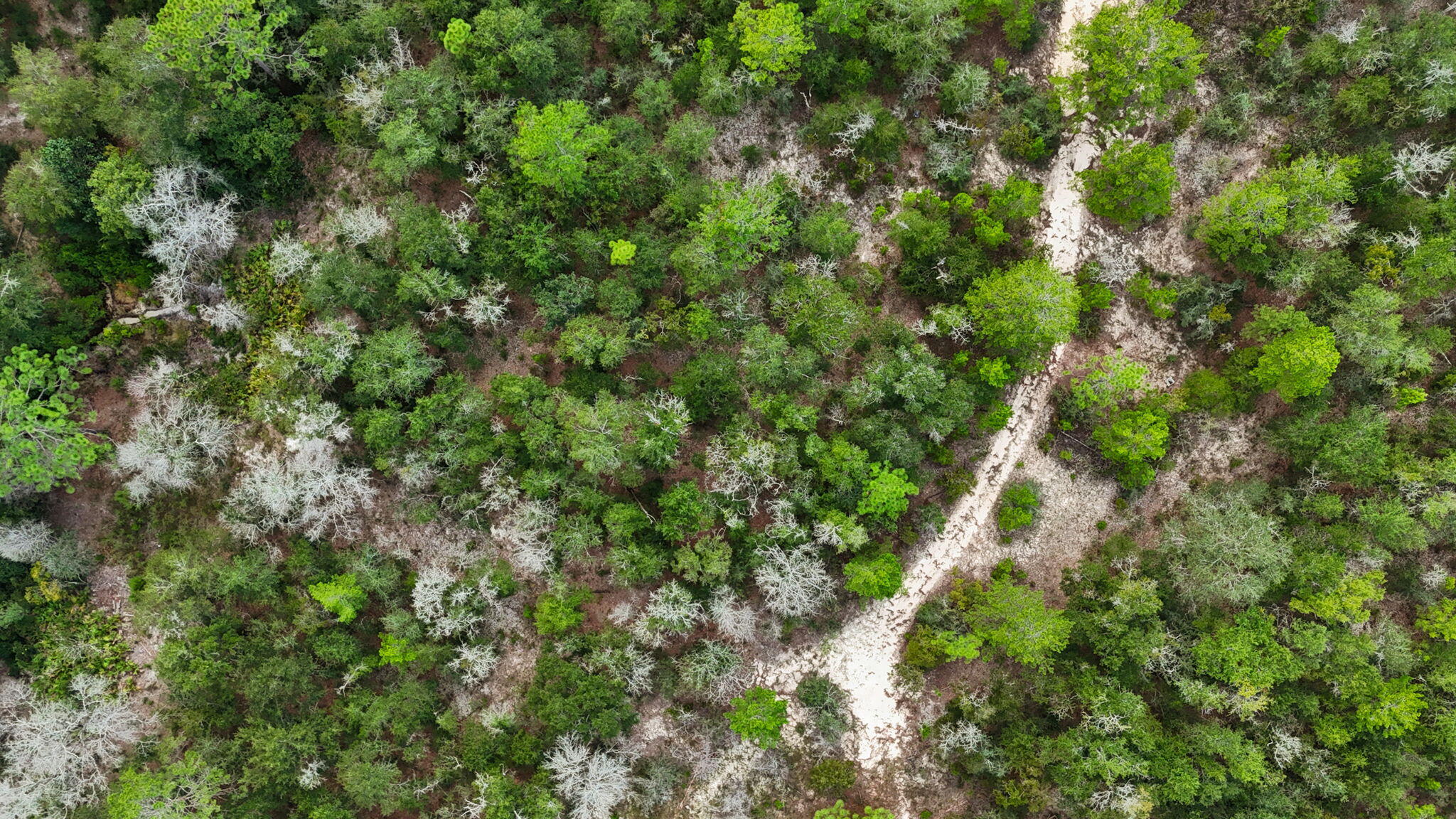 OAKWOOD HILLS UNIT 2 - Land