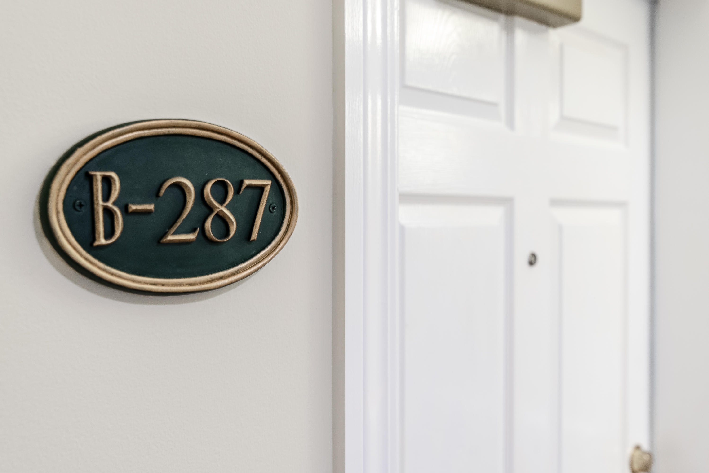 VILLAGE OF SOUTH WALTON BEACH - Residential