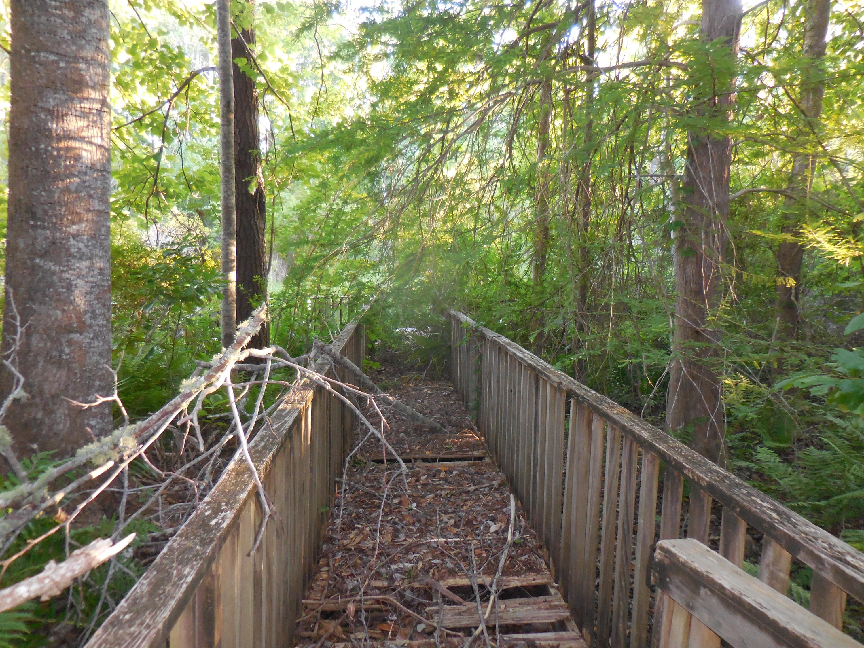 WATERVIEW COVE - Residential