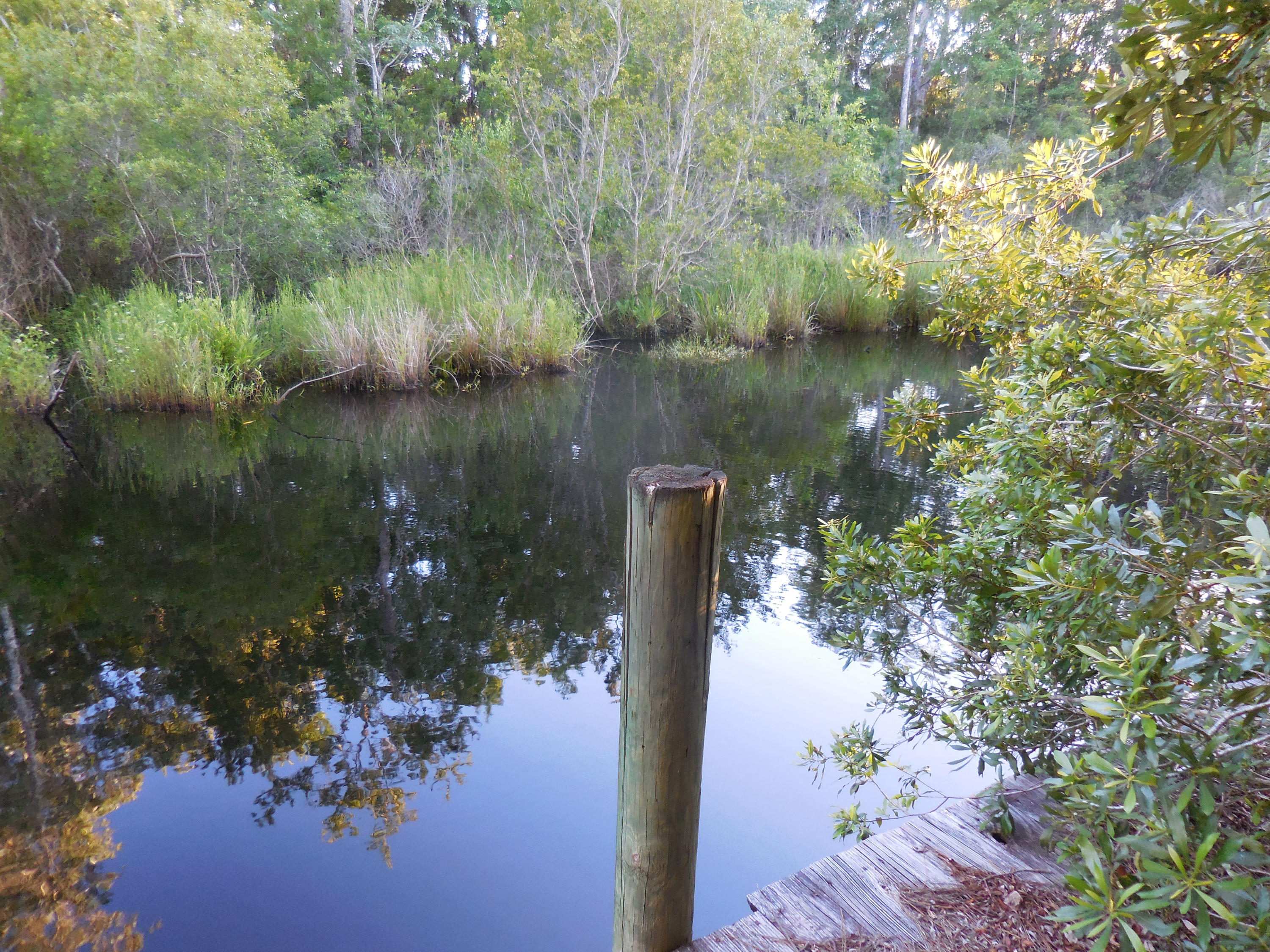 WATERVIEW COVE - Residential